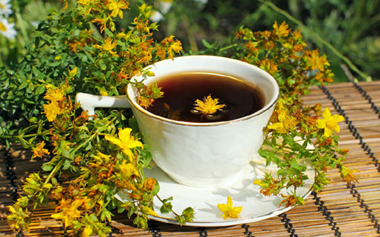 Sarı Kantaron Çayı Nasıl Demlenir